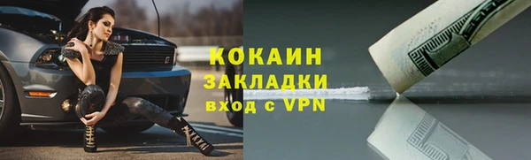 мяу мяу мука Дмитриев