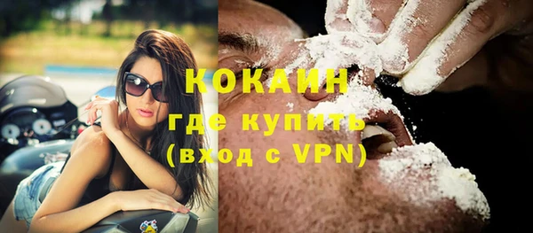 мяу мяу мука Дмитриев