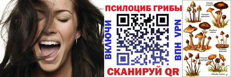 Купить где  Березники  Псилоцибиновые грибы Cubensis 
